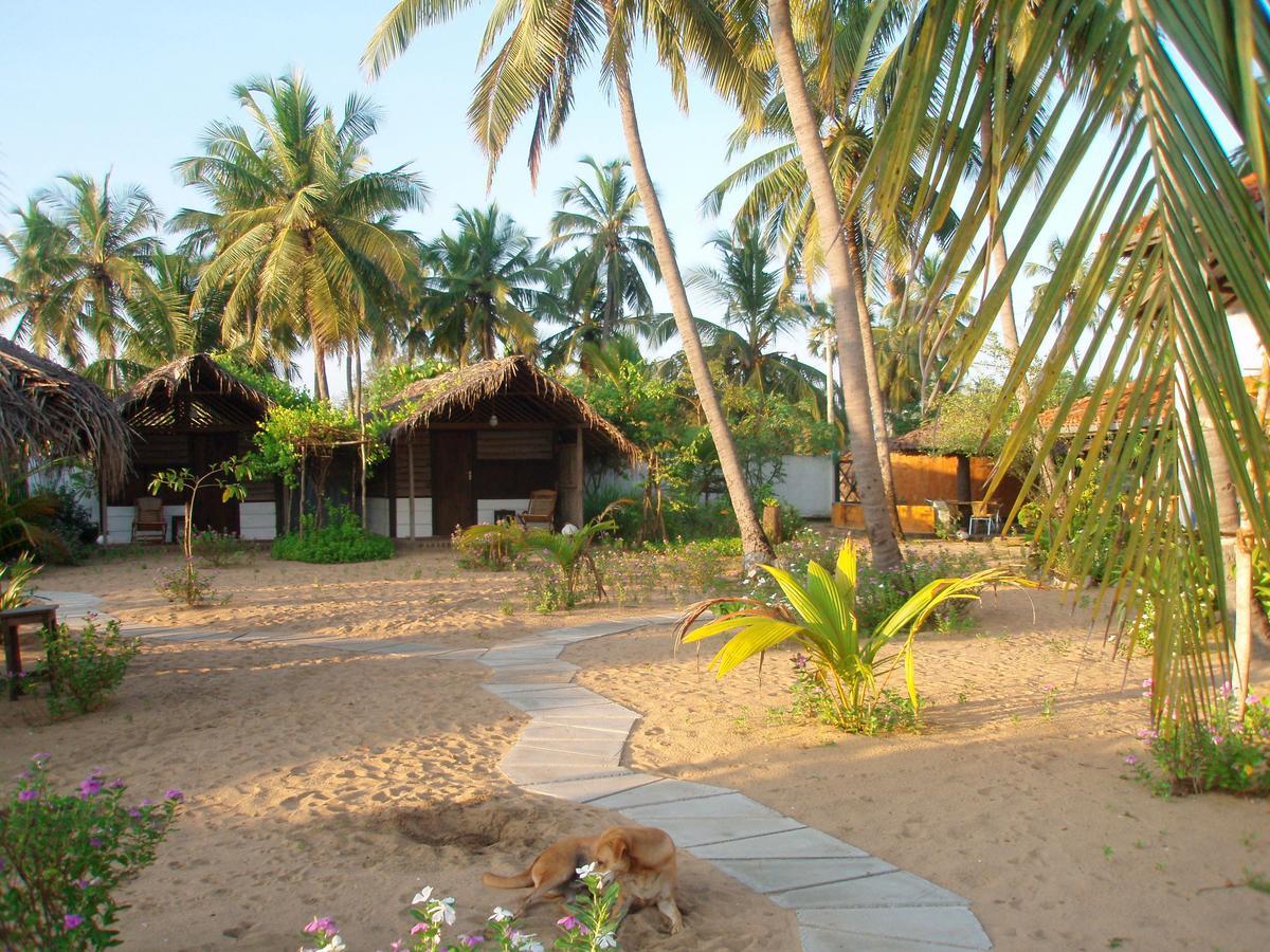 Stardust Beach Hotel Arugam Bay Luaran gambar